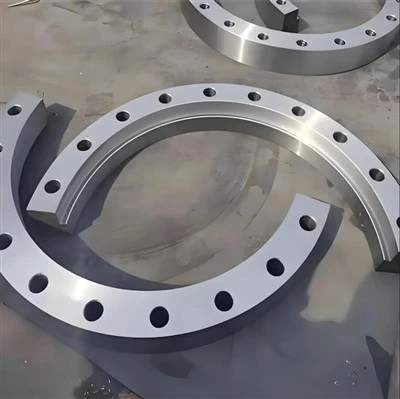 Stainless hlau forged flanges